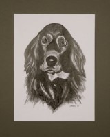 Bleistift-Zeichnung Cocker Spaniel Sir Edward gerahmt - gezeichnet von Marion Lux, Berlin