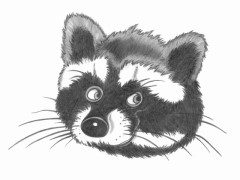 Bleistiftzeichnung Waschbr-Logo aus der Serie Tier-Zeichnungen von Marion Lux, Berlin